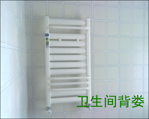 衛(wèi)生間背婁