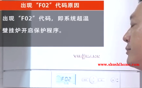 菲斯曼F02故障維修